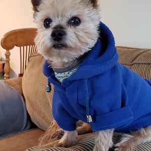 Meet your Posher, Donna